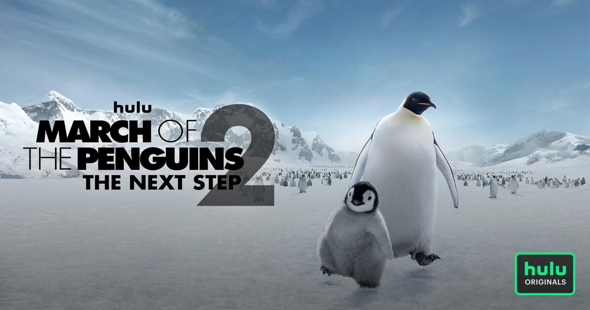  4K-Movies-March-of-the-penguins  