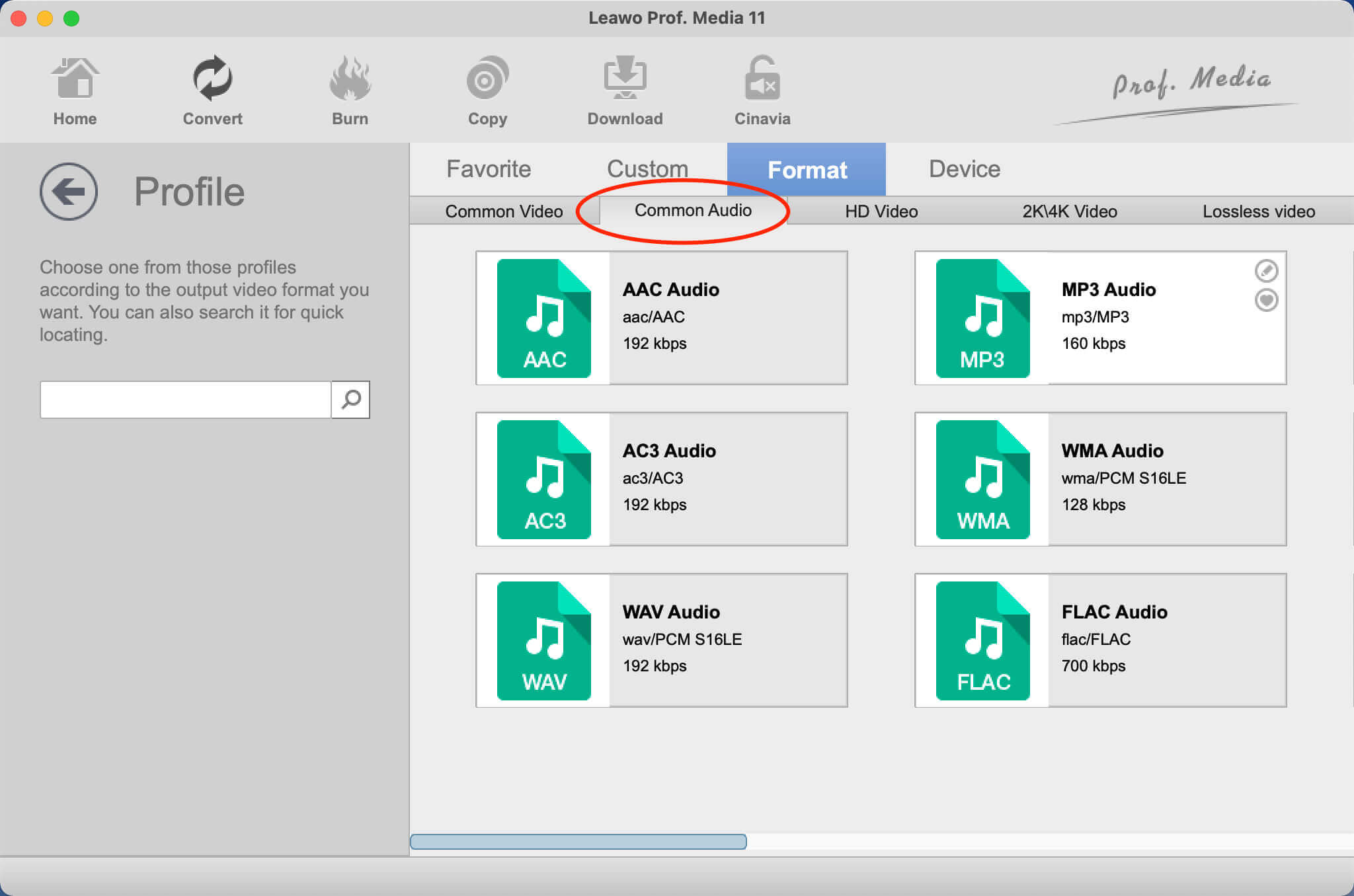  Twitch-to-mp3-converter-set-output-format  